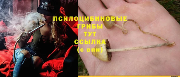 СК Алзамай