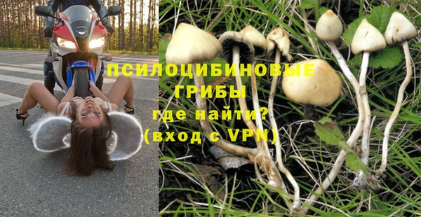 СК Алзамай