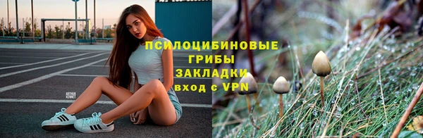 ешки Алексин