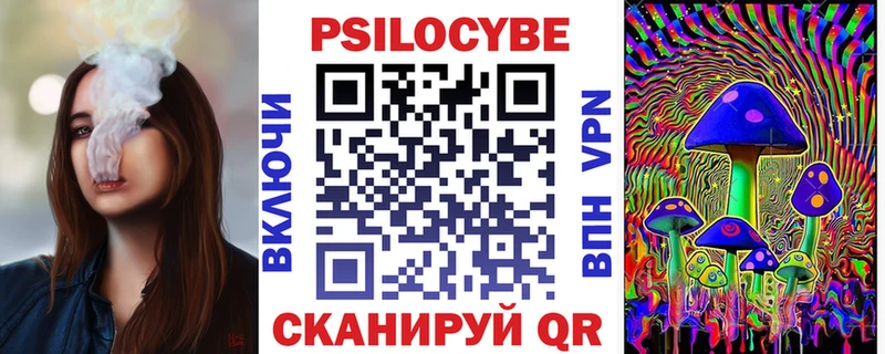 Галлюциногенные грибы Psilocybe Дедовск